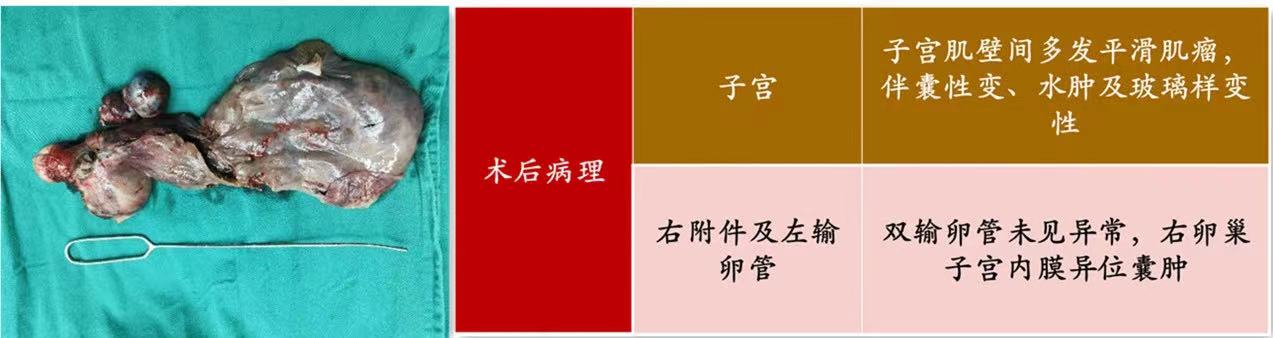 20230412300172.jpg 微信图片_202304121458311.jpg