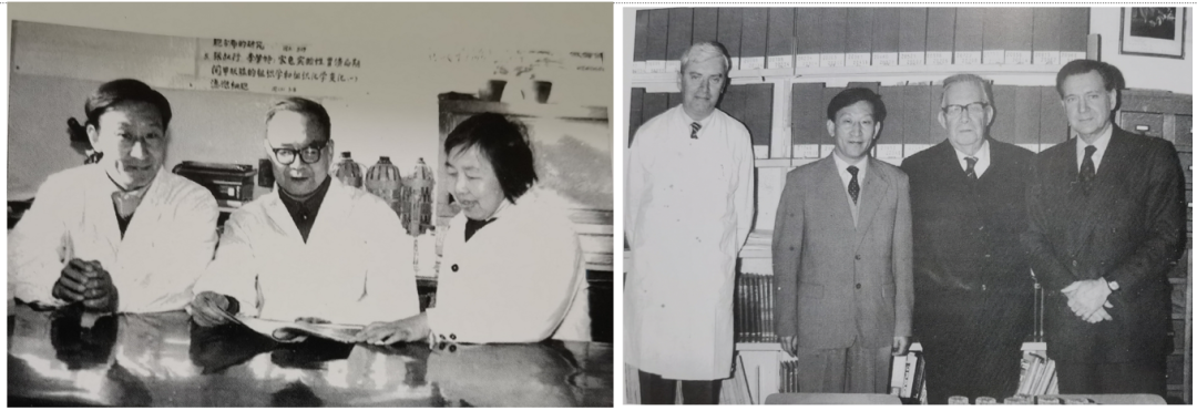 20230907462426.png 2.png