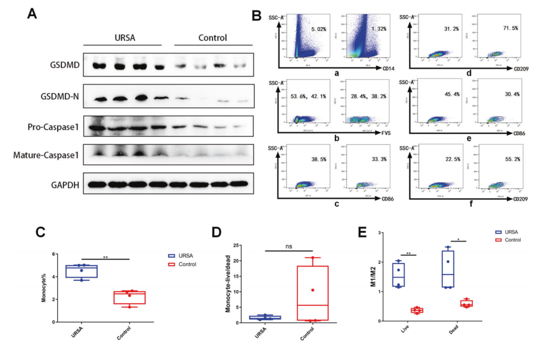 20231228250085.png 2.png