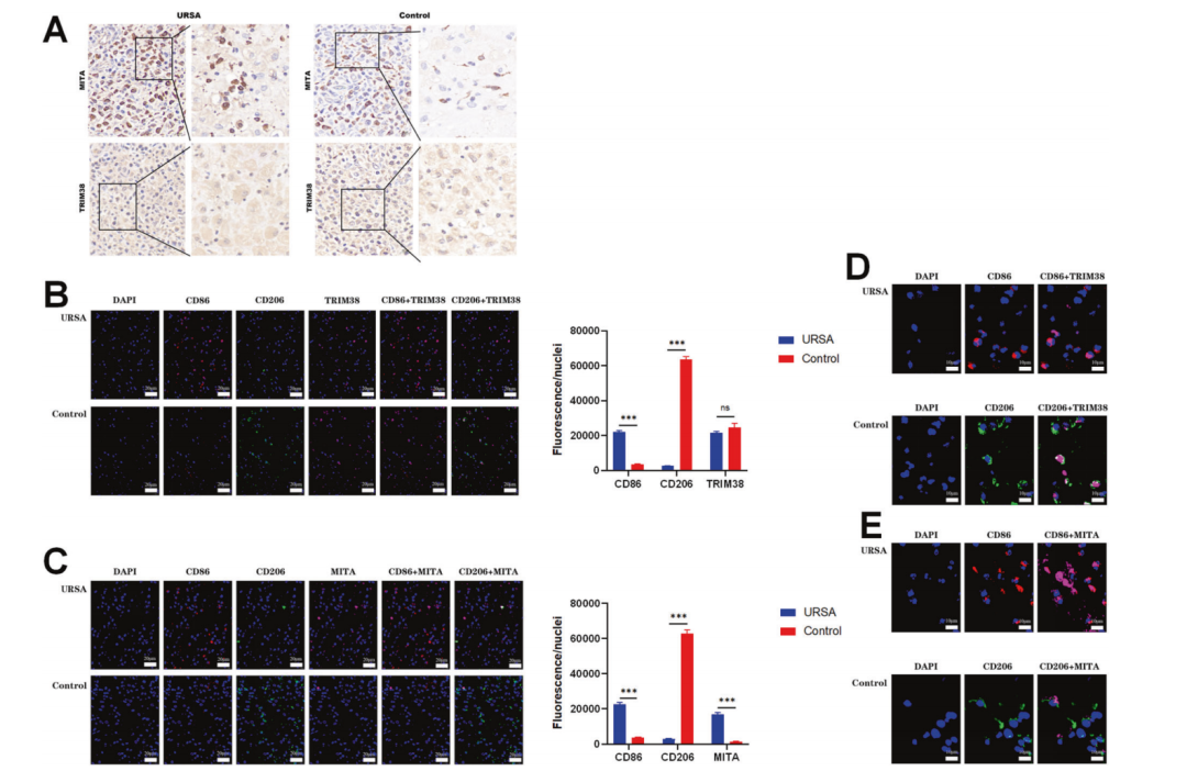 20231228369511.png 3.png