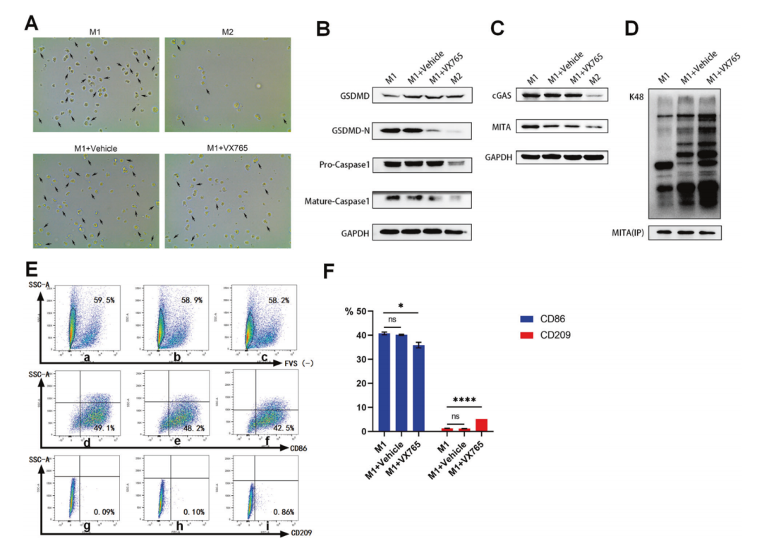 20231228596800.png 5.png