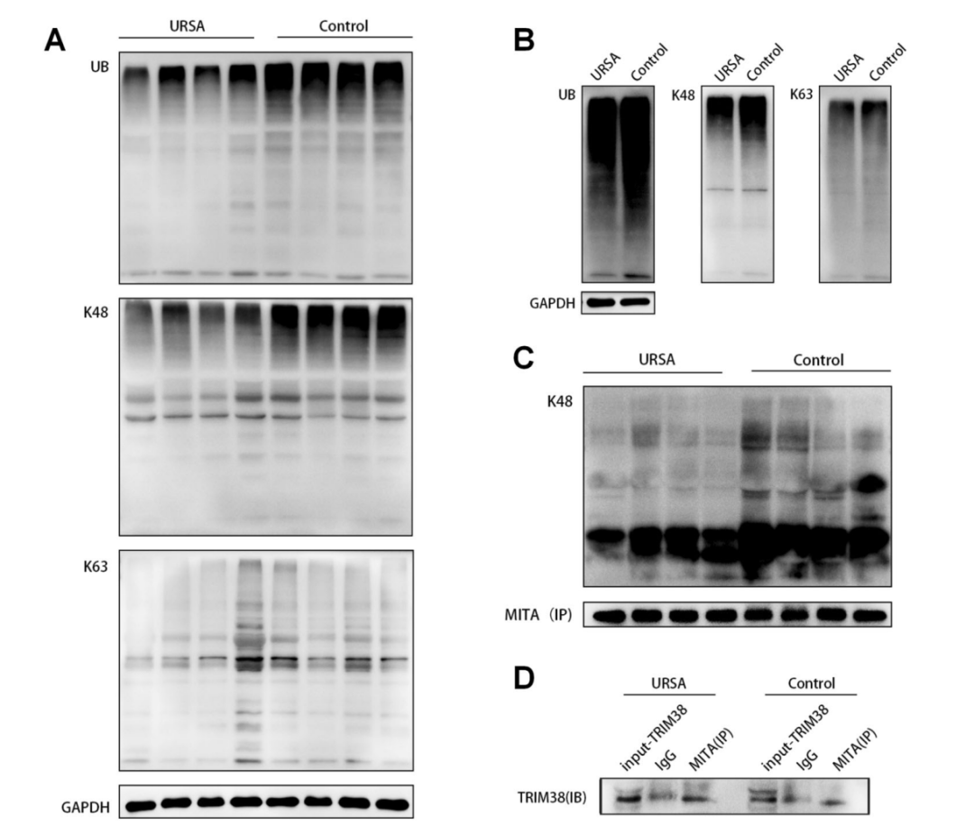 20231228923516.png 4.png