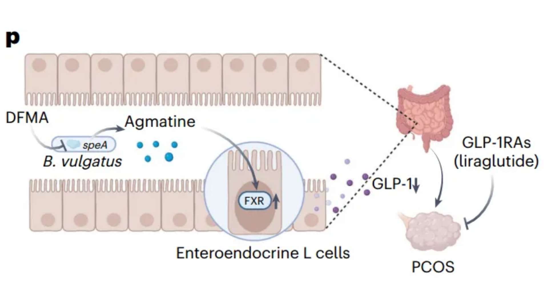 20240619485895.jpg 222_副本.jpg