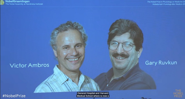 20241007595303.jpg 微信图片_20241007193203_副本.jpg