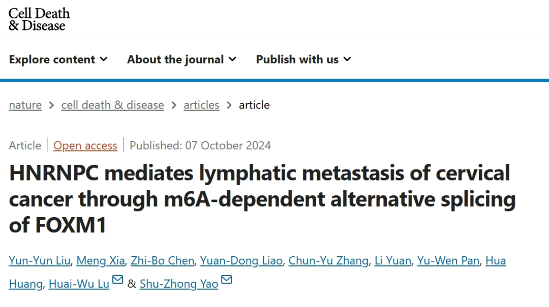 20241112551732.png 1.png