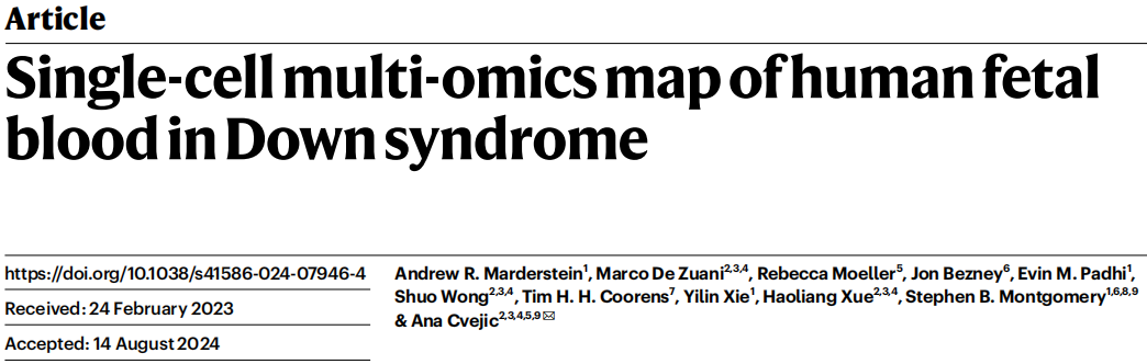 20241112573995.png 4.png