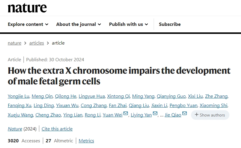 20241125581276.png 3.png