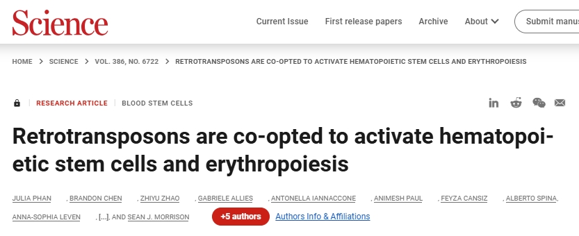 20241128514117.png 3.png