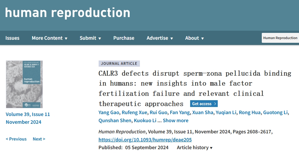 20241128854321.png 6.png