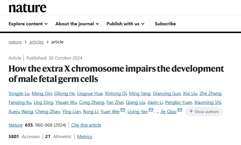 20241211648696.png 1.png