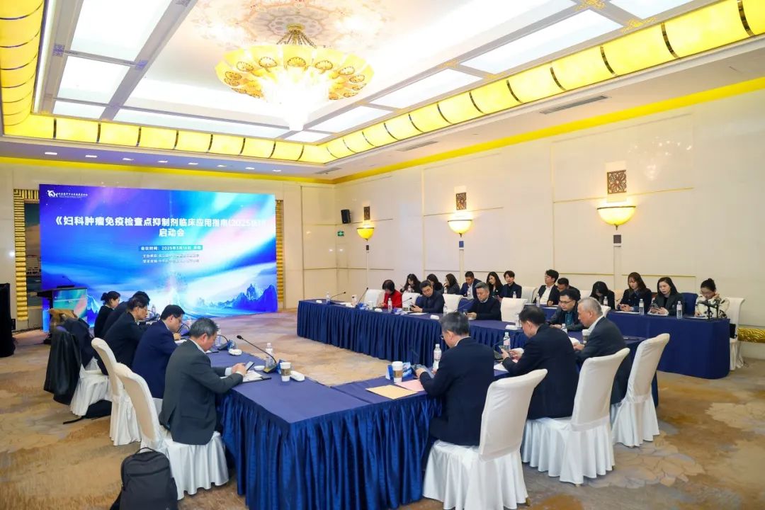 20250319793884.jpg 640 (5).jpg