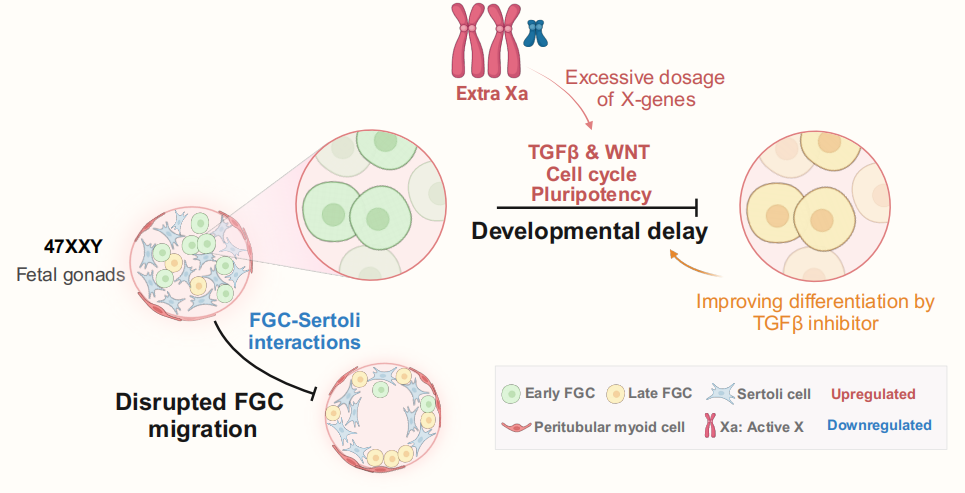 20250331173659.png 4.png