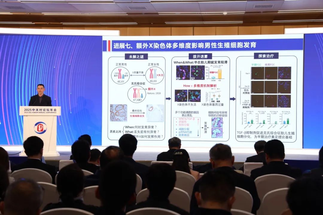 20250331380661.png 5.png