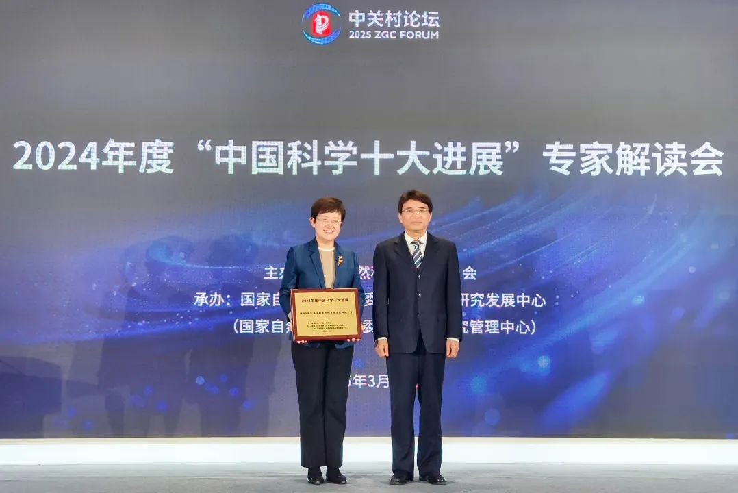 20250331826152.png 3.png