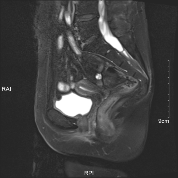 20251030791396.png 1.png