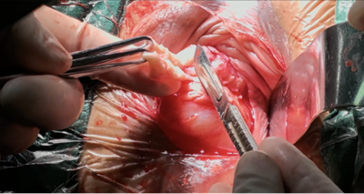 20251212139296.png 图片7.png