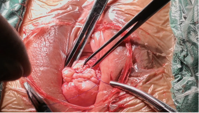 20251212212502.png 图片8.png