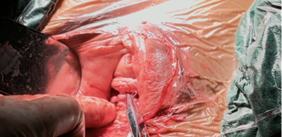 20251212223966.png 图片9.png