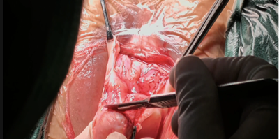 20251212338146.png 图片6.png