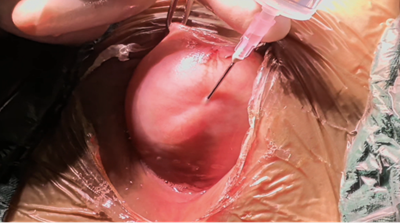 20251212491446.png 图片4.png