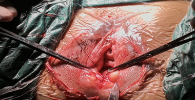 20251212778723.png 图片10.png