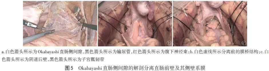 WPS图片(1)5(1).png
