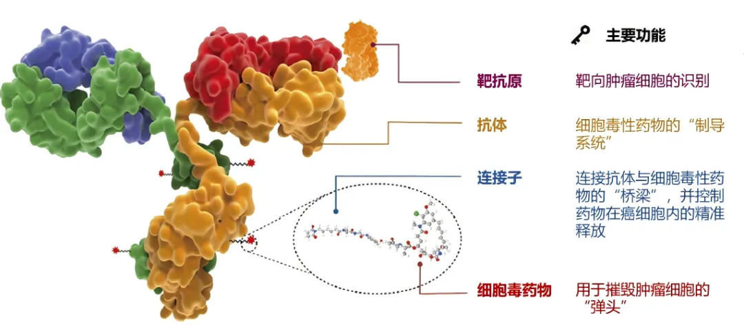 20260226574435.png 图2.png