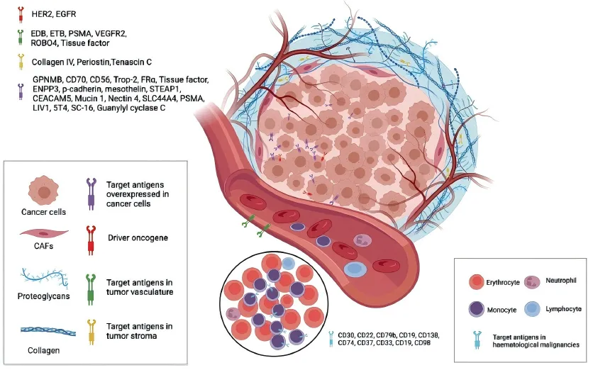 20260226857019.png 图4.png