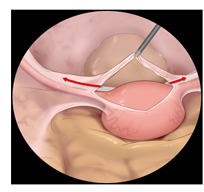 20220531616629.png image.png