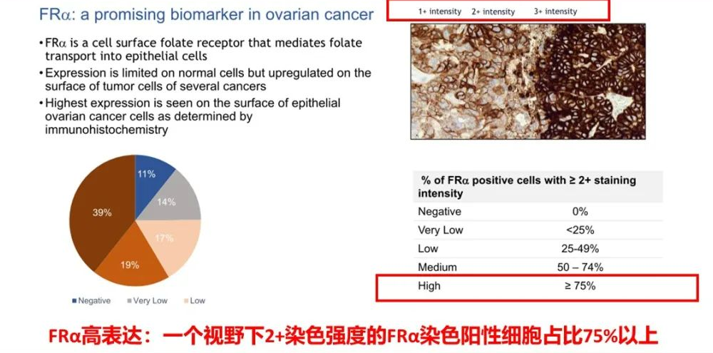 20230616280866.png 2.png