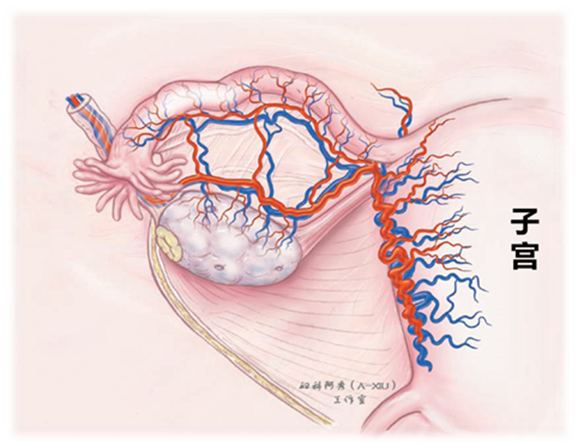 20230704426761.png 5.png