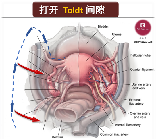 20230704757504.png 1.png