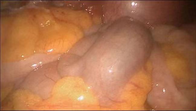 20230815259804.jpg 微信图片_20230815143007.jpg