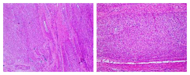 20230815360833.jpg initpintu_副本1.jpg