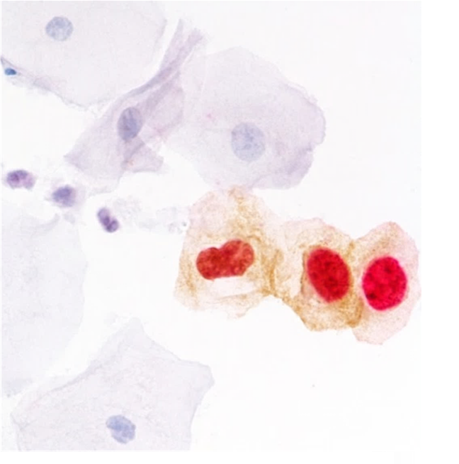 20240312737475.png 640 (1).png