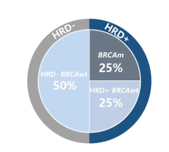 20240624389448.png image.png