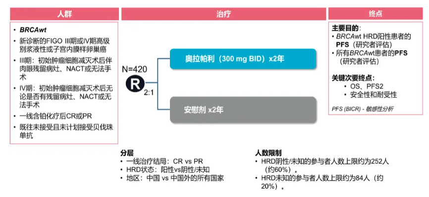 20240624719250.png image.png