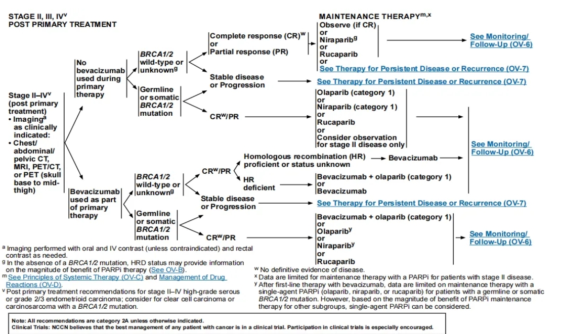 20240624972601.jpg 1.jpg
