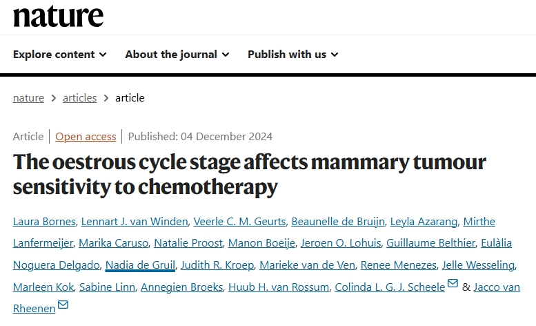 20241216766813.png 3.png