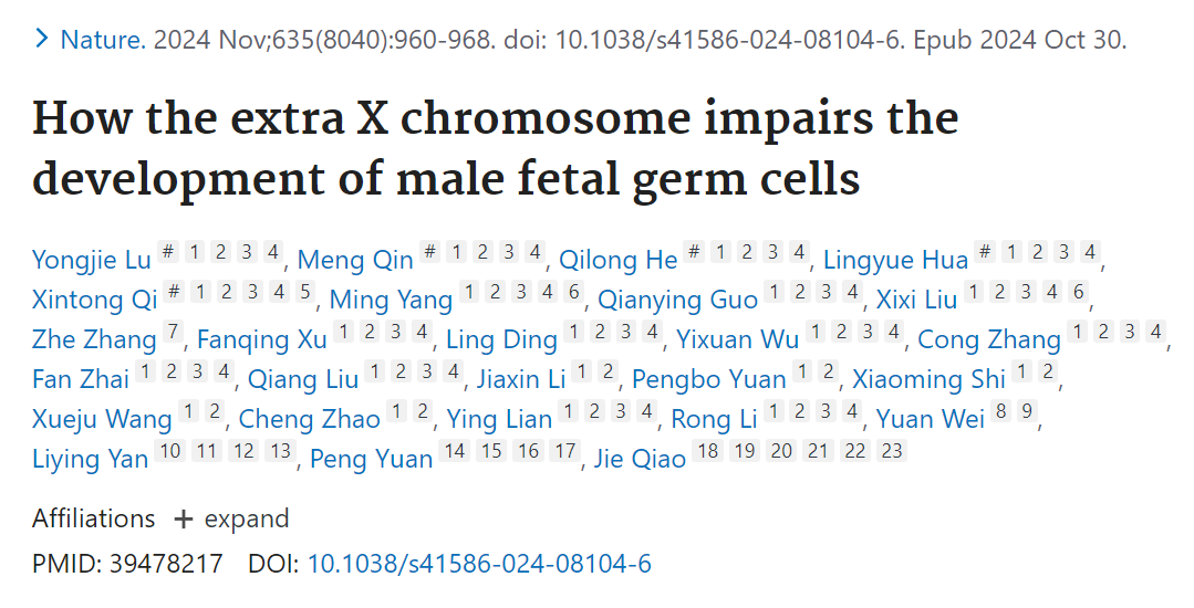 20250110856422.png 图片4.png