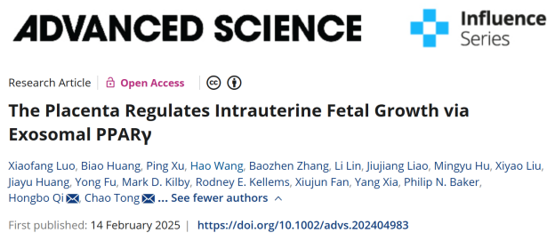 20250221336356.png 2.18漆洪波研究.png