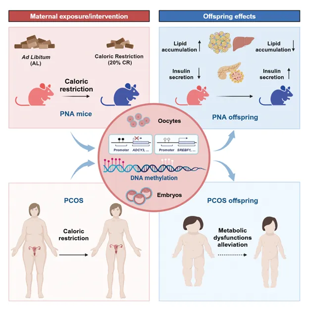 20250226395760.png 2.png