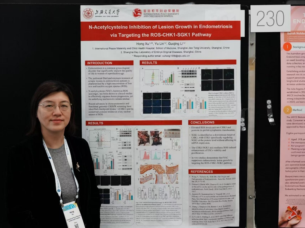 20250609274755.png 20.png