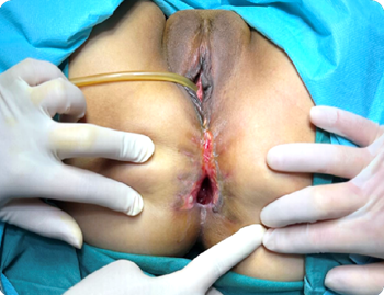 20250718295684.png 图片1.png