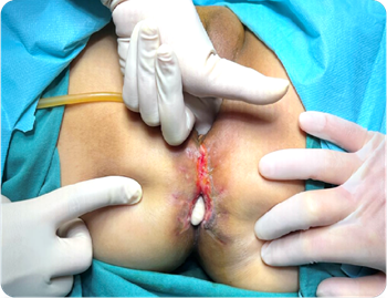 20250718626261.png 图片2.png