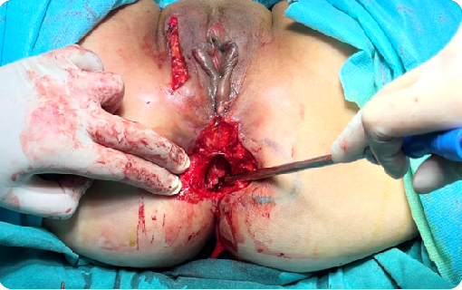 20250718727849.png 图片3.png