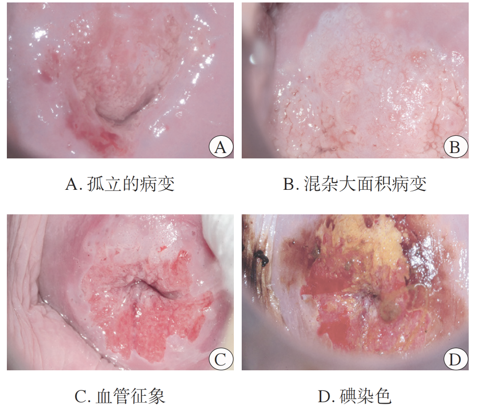 20260316539319.png 图1(1).png