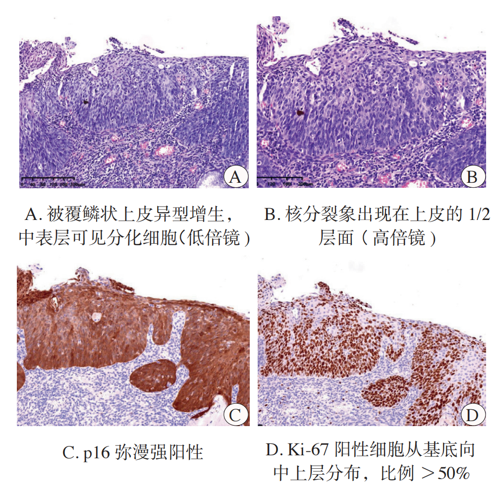 20260316618760.png 图2.png