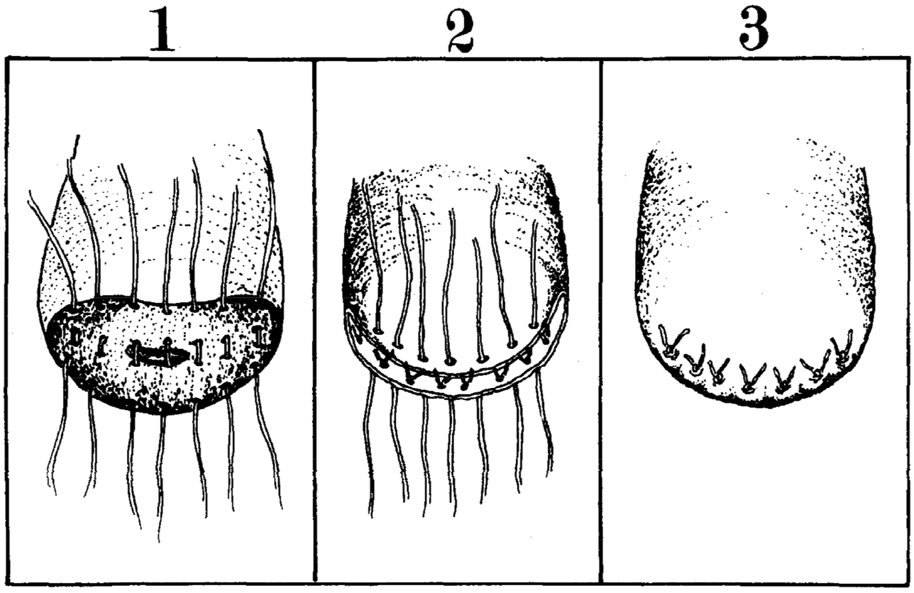 20260428504907.png WPS图片(1)1.png