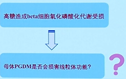 20260507166602.png 图片6.png